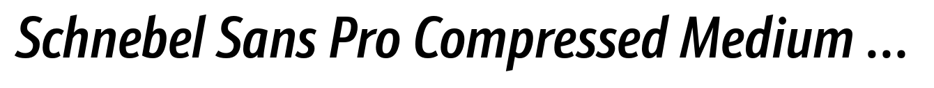 Schnebel Sans Pro Compressed Medium Italic